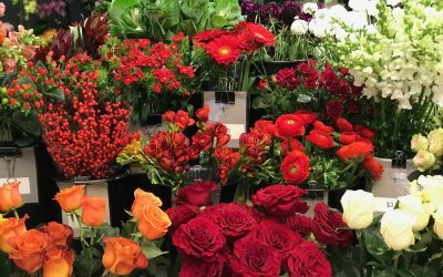 Test Start: Flower Business