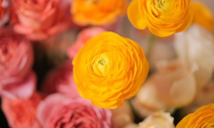 2025 Readers’ Choice Awards: Celebrating Your Favorites