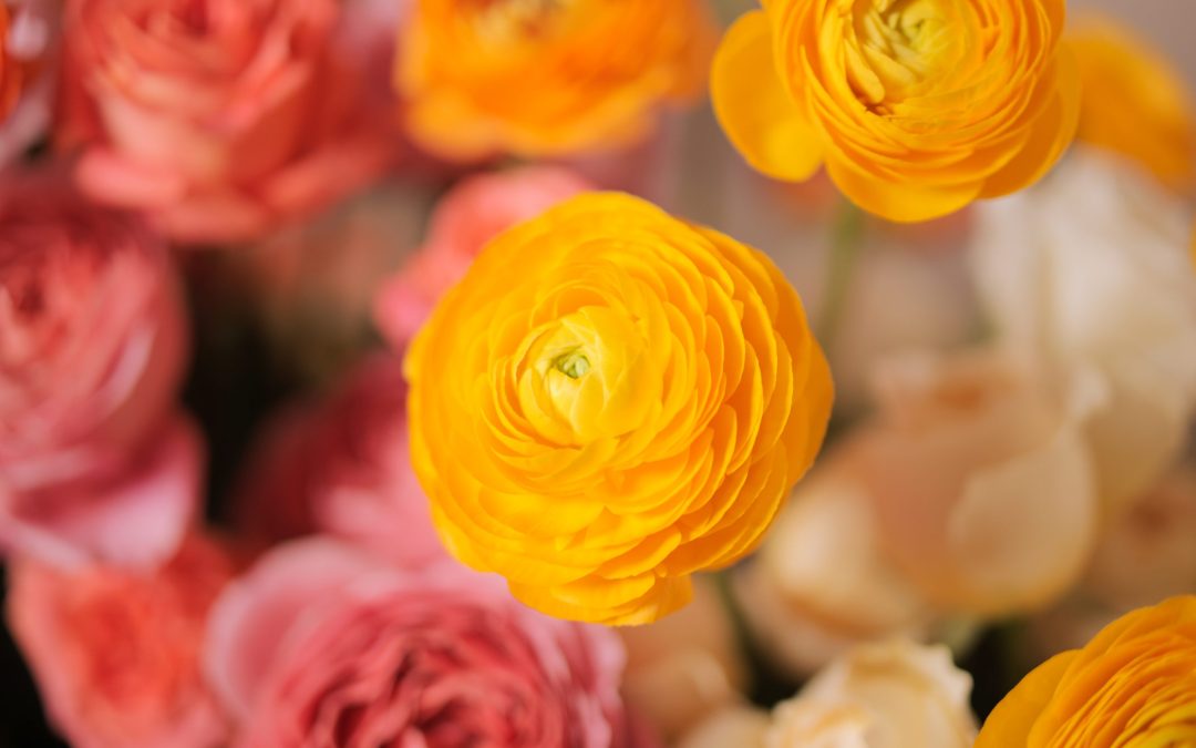 2025 Readers’ Choice Awards: Celebrating Your Favorites