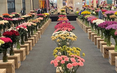 Proflora Returns to Bogotá, Colombia, October 1-3