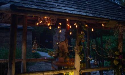 Michigan Floral Community Comes Together, Even in a Pandemic!