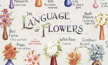 The Meaningful Language of Flowers