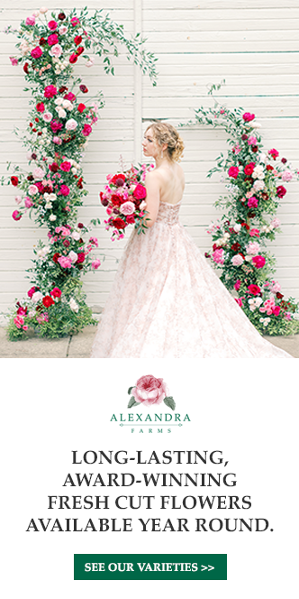 Next Gen LIVE! - safnow.org