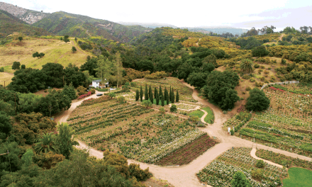 From Field To Studio