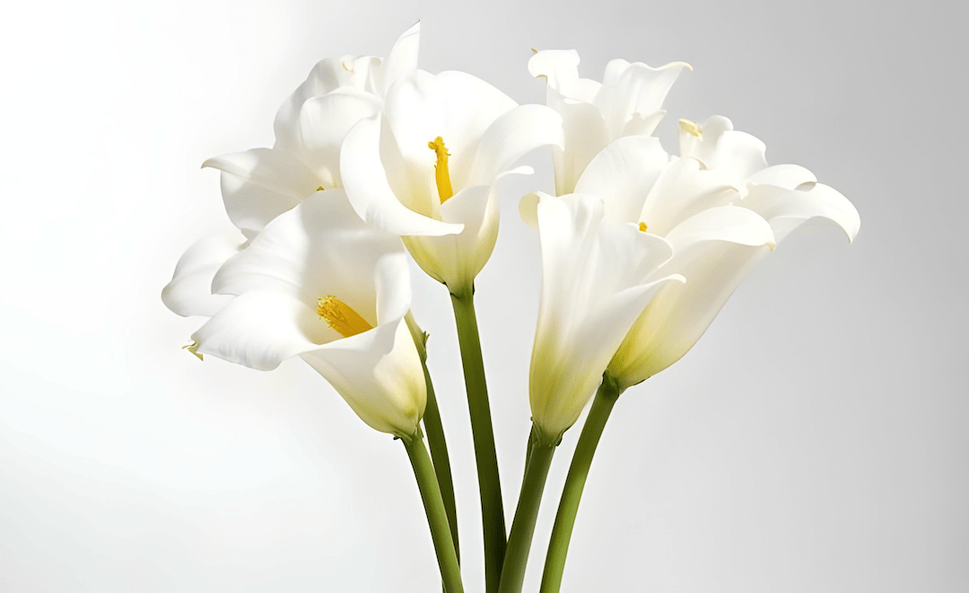 What to Do with Broken Flowers  